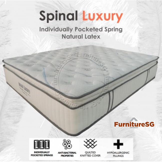 Spinal Luxury 13 inches Pocketed Spring Mattress with Coolmax | Shopee ...