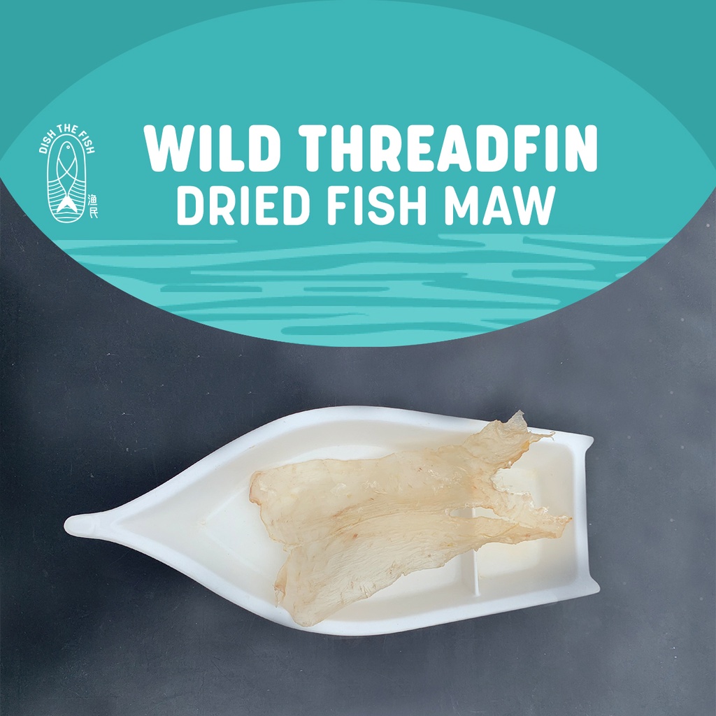 Threadfin Dried Fish Maw (魚鰾 / 花膠) Shopee Singapore