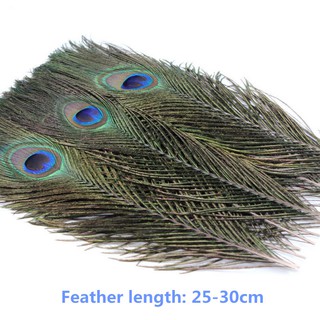 10Pcs 25-30CM Natural Peacock Feathers Crafts Handwork DIY Party Plume  Wedding Home Furnishing Decor