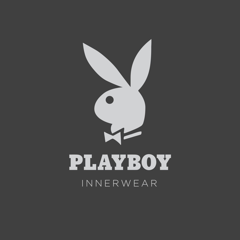 Playboy Lingerie Ice Silk Nylon Microfiber Spandex Panties - Assorted  Colour (3 Pcs) PL98054-3M