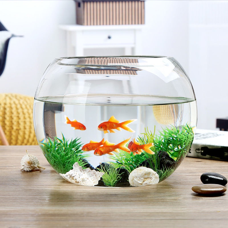 Transparent Glass Fish Tank Living Room Home Ball Fish Tank Small Fish ...