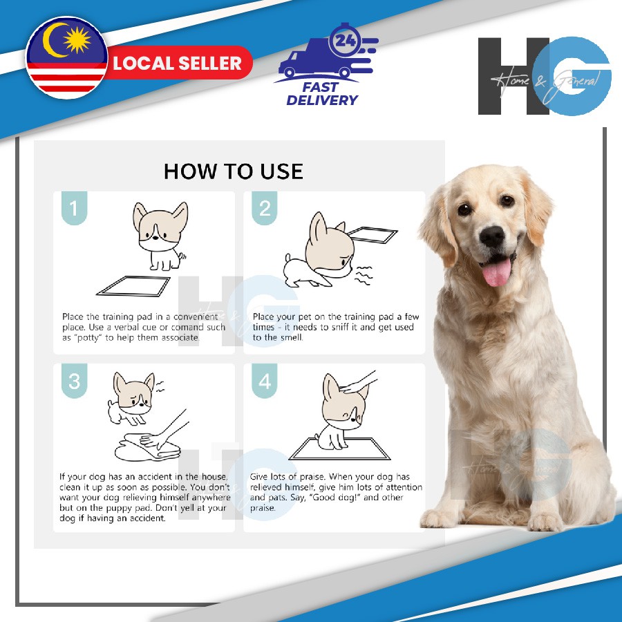 Wee wee pad, pee pad for pets/cats/dogs/training pad/urine pad (Pelapik ...
