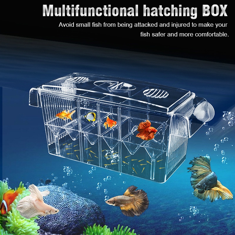 Guppy Plastic Fish Aquarium / Plastic Tank / Fish Tank - 600MM 450mm 370mm  Features: * Aquarium 600mm Plastic Tank 58
