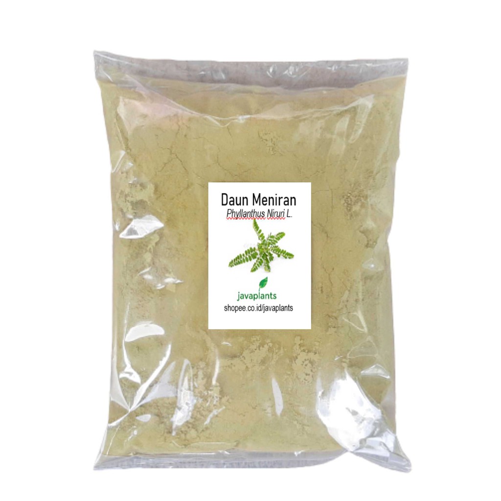 Meniran Powder 500 g Phyllanthus niruri Powder Premium Quality Leaf ...