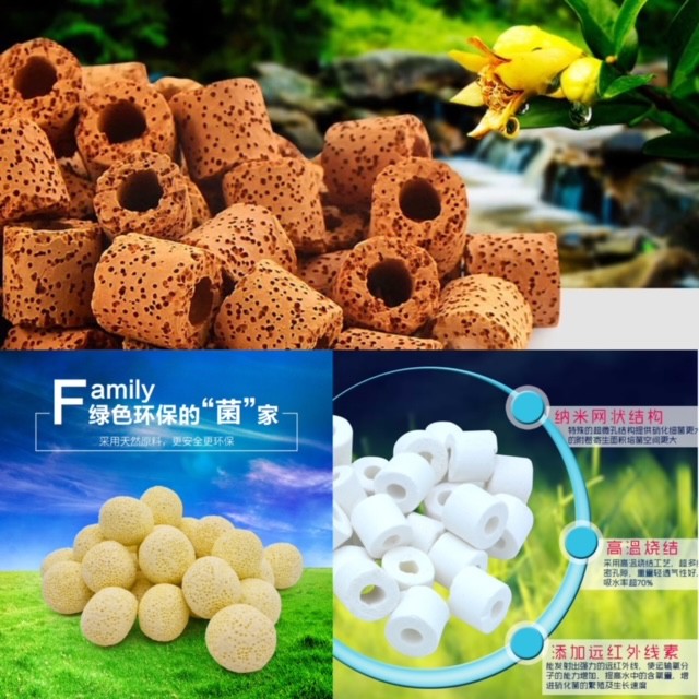500g AQUARIUM POND FILTER MEDIA CERAMIC BIO RINGS BACTERIA BALLS CORALS Shopee Singapore
