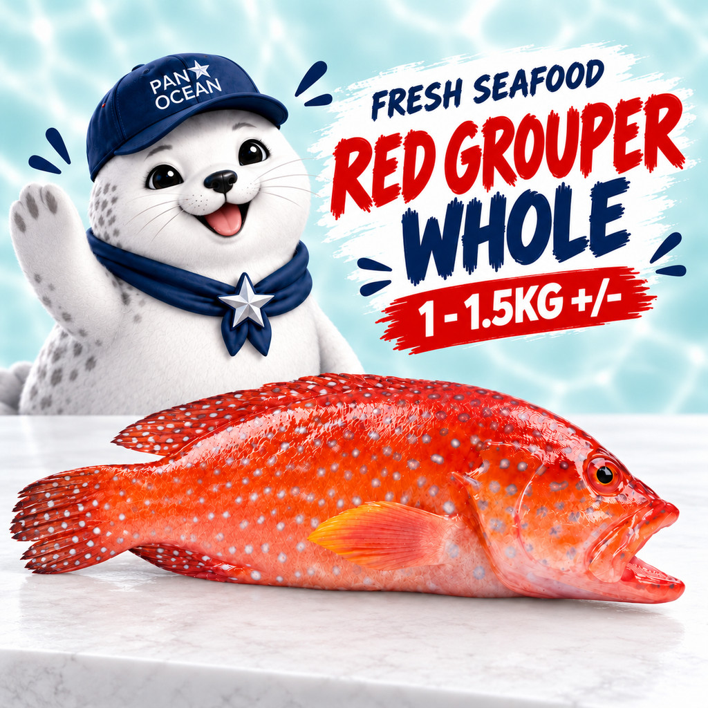 Buy grouper fish At Sale Prices Online - October 2026 | Shopee Singapore