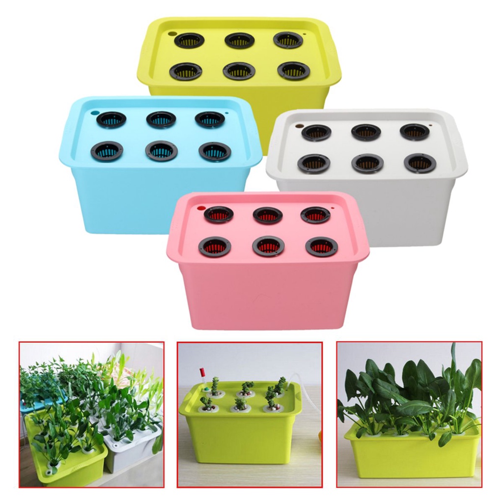 6 Holes Plant Static Water Incubator Box Hydroponic Grow System Kit ...