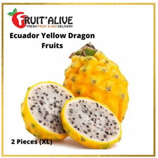 DRAGON FRUIT IN STOCK / KAIDO FRUIT - BLOX FRUITS ( ROBLOX ) 