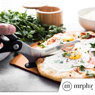 Pro Dough Pastry Scraper/Cutter/Chopper Stainless Steel Mirror Polished  with Measuring Scale Multipurpose- Cake, Pizza Cutter - AliExpress