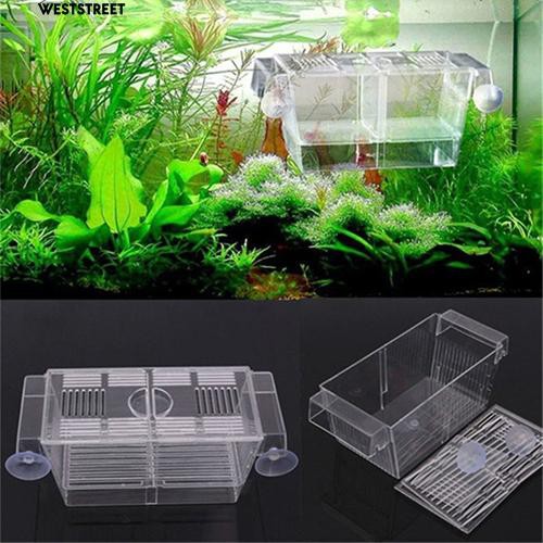 Aquarium Fish Tank Guppy Double Breeding Breeder Rearing Trap Box ...