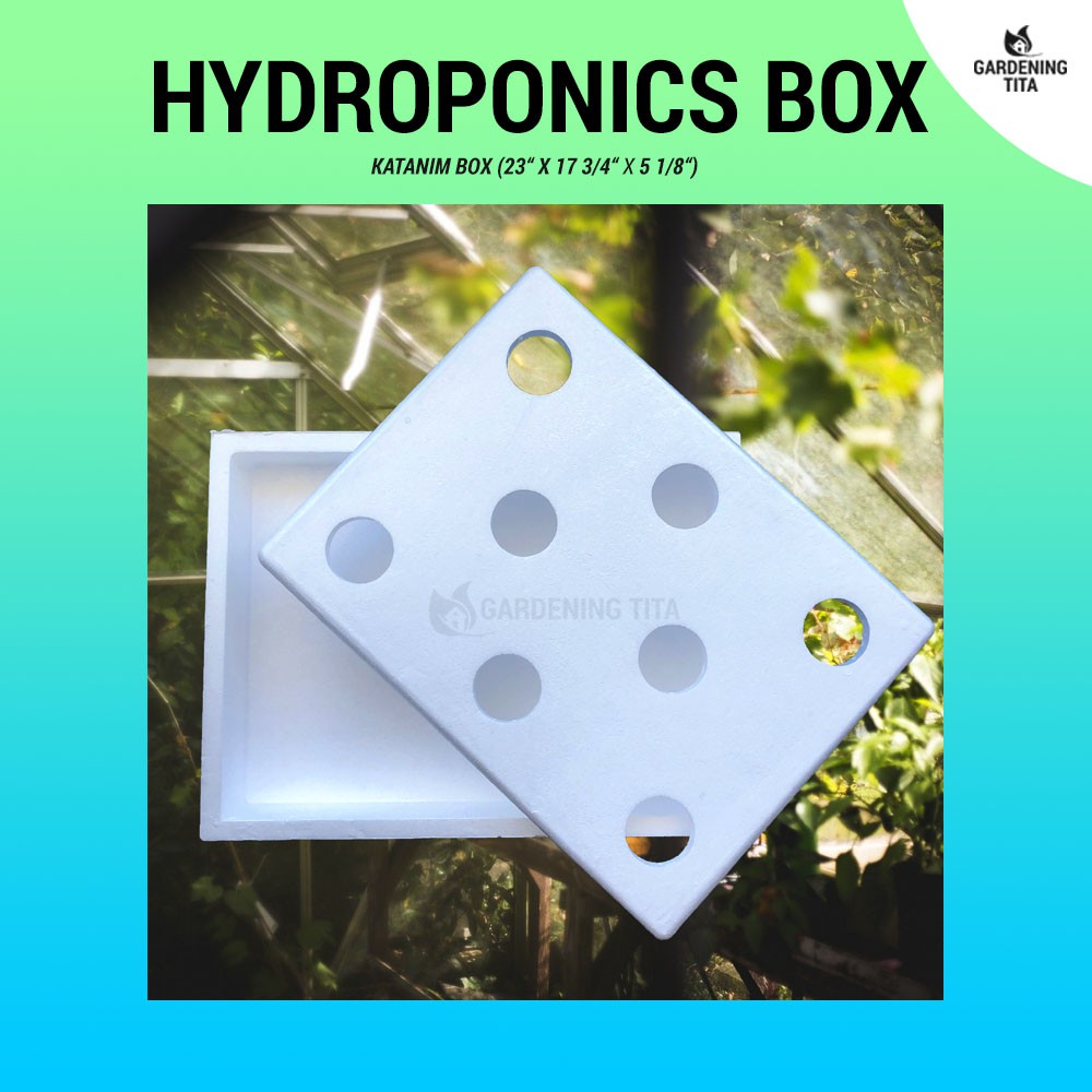 Hydroponic System Grow Box (Katanim Box) - For Hydroponics (23