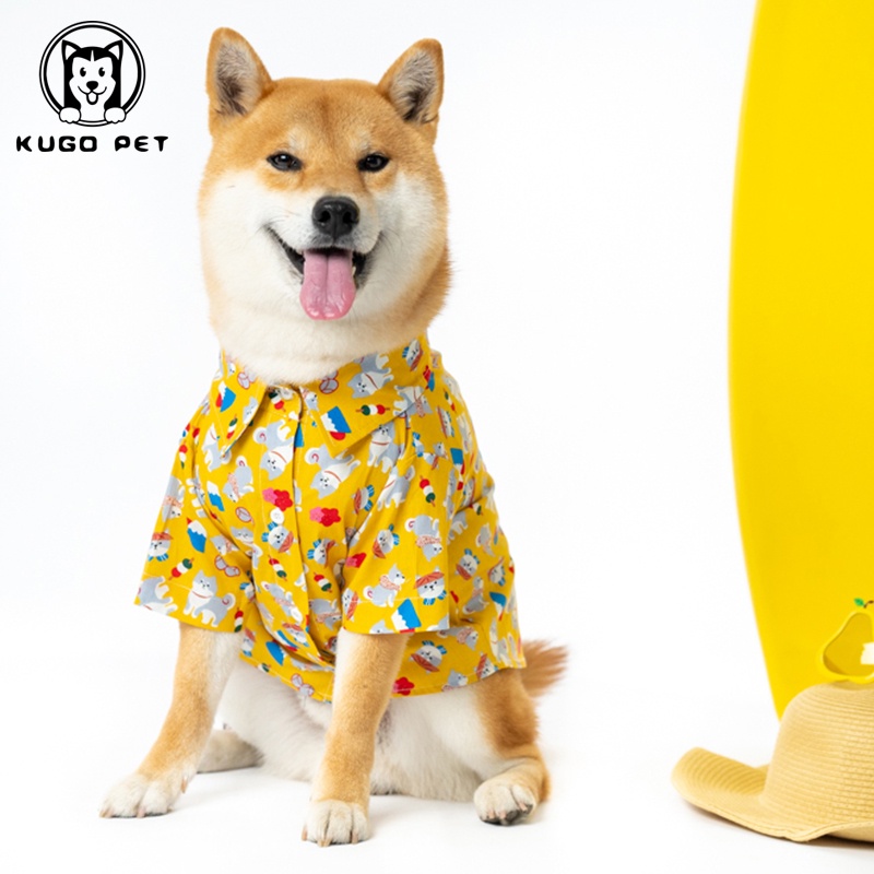 Shiba inu in outlet clothes