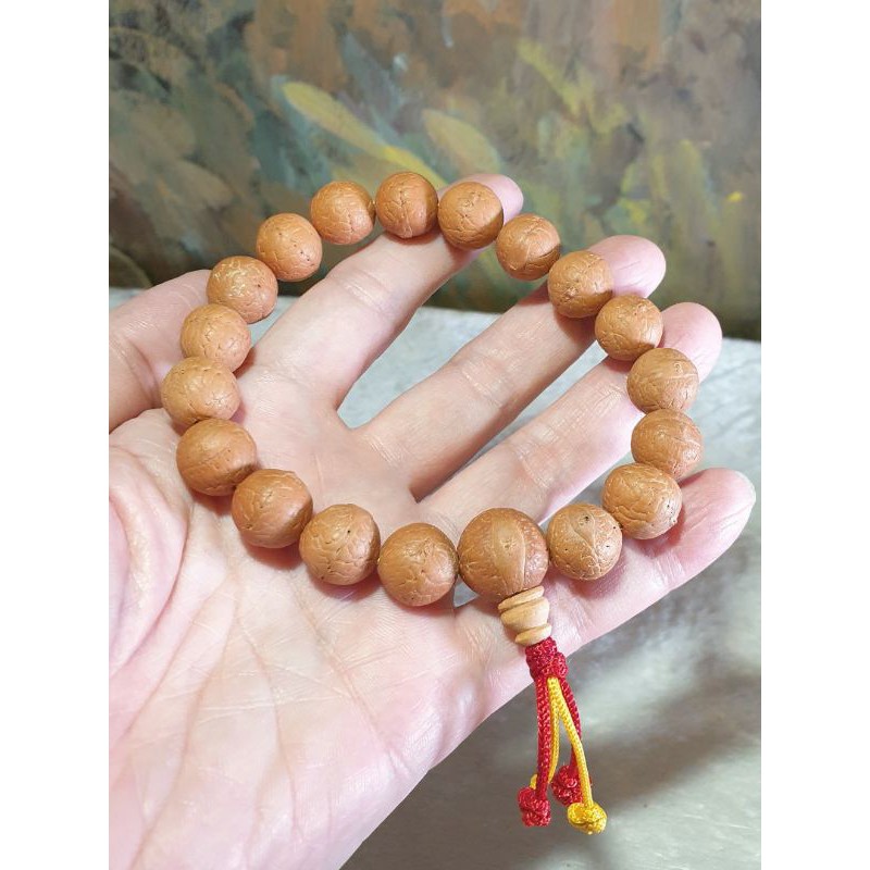 14 Beads Phoenix Eye Bodhi Seed Genuine Indonesian Buddha Chitta Mala  Phrengba