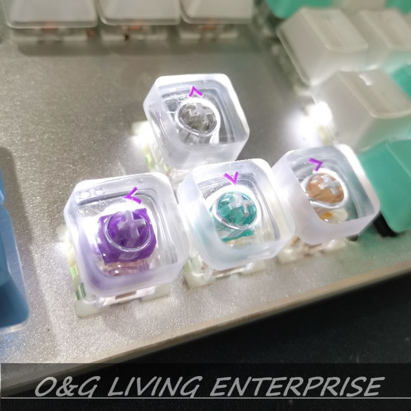Ice Keycap Arrow keys ESC Punk Low Profile | Shopee Singapore
