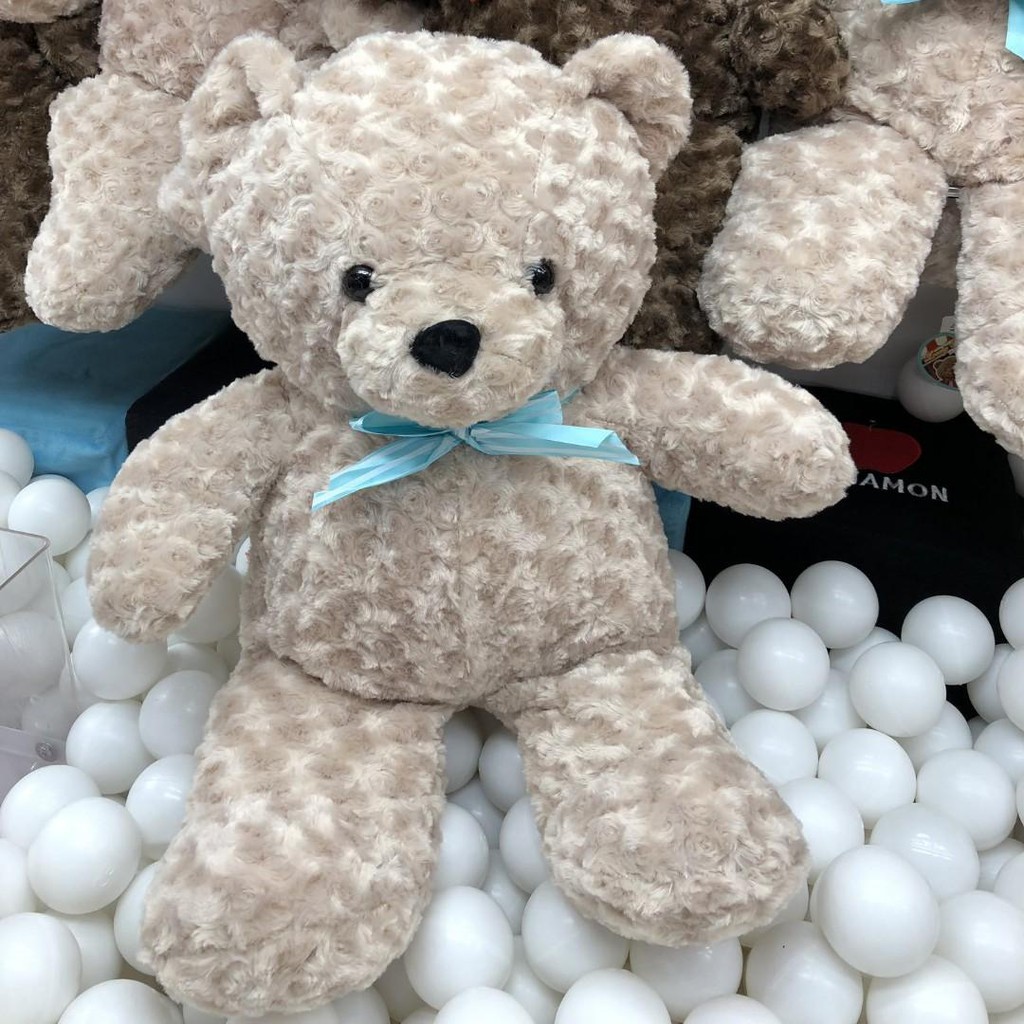Lovely rose bear online