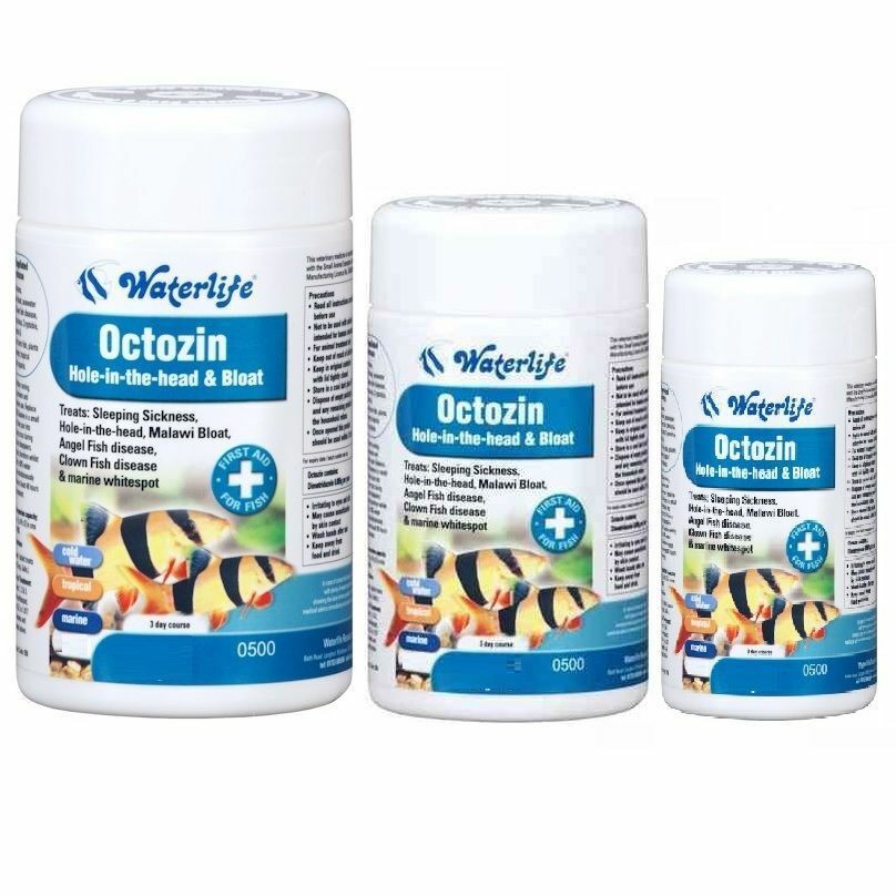 WATERLIFE OCTOZIN 21Tabs 80Tabs 200Tabs | Shopee Singapore