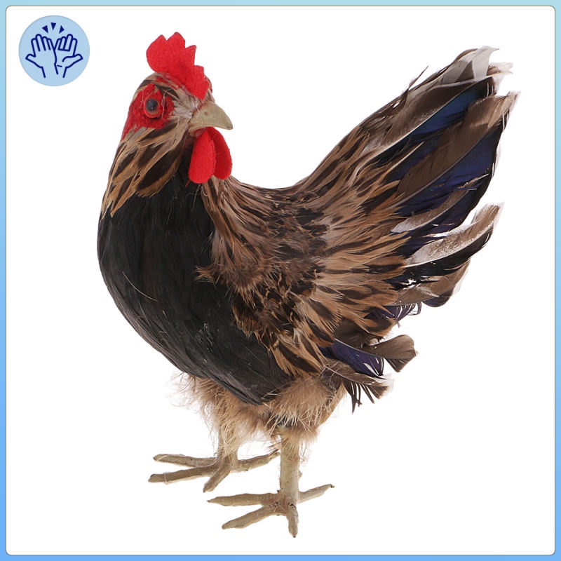 Lifelike Hen Model Realistic Chicken Statue Realistic Feather ...