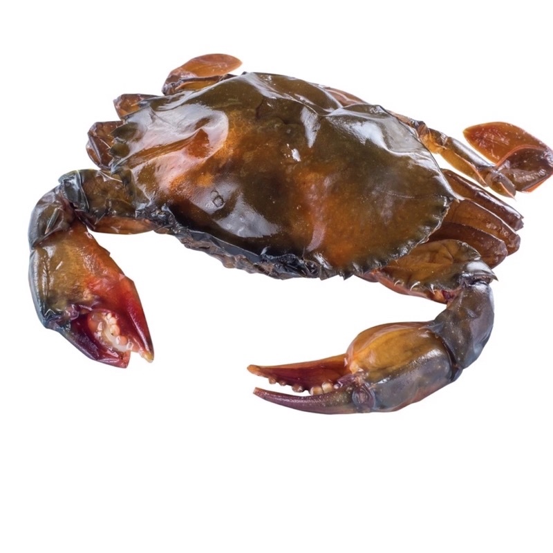 Frozen Soft Shell Crab 1kg (10-11pcs) | Shopee Singapore