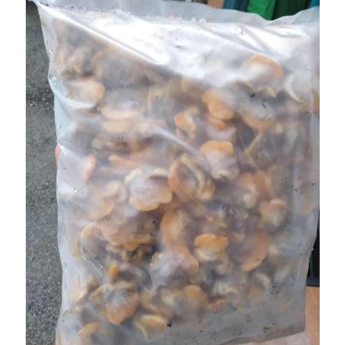 Frozen Cockles Kerang Rebus 1kg Shopee Singapore