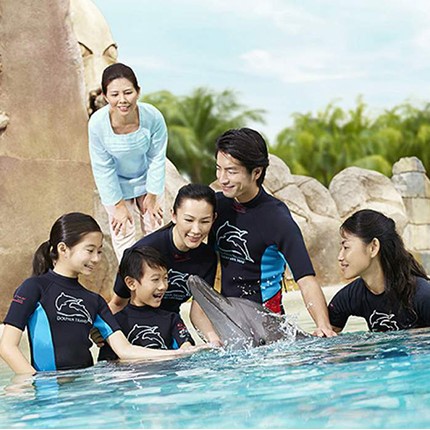 Singapore Dolphin Island Interaction Programs | Shopee Singapore