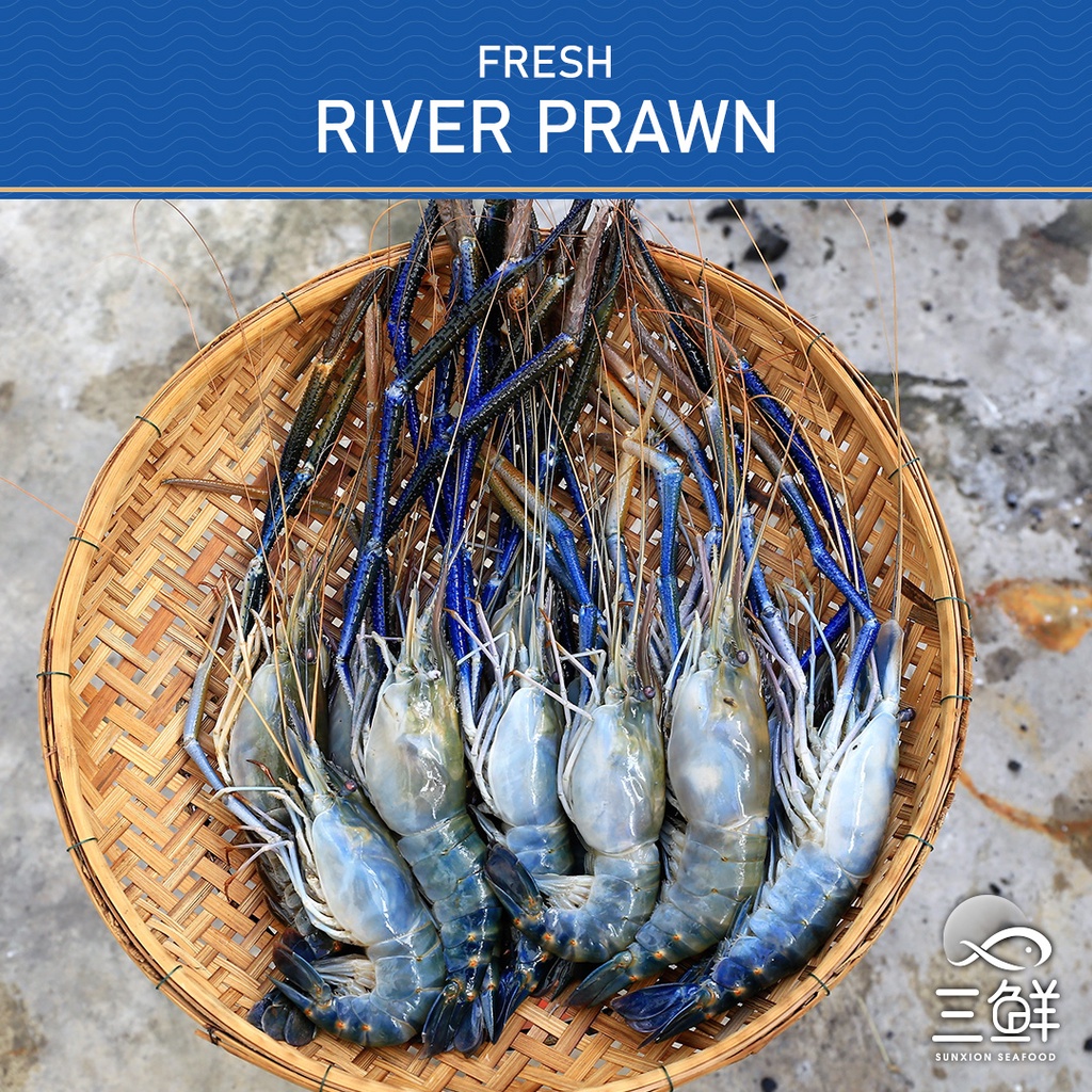 F/T Jumbo River Prawns 1KG Shopee Singapore