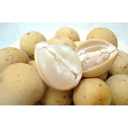 Duku Langsat Fruit 1 kg | Shopee Singapore