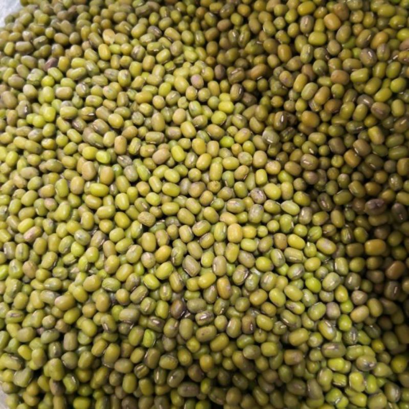 HIJAU MERAH Dried chili 250g, +-500g parapu beans, peanuts, red beans ...