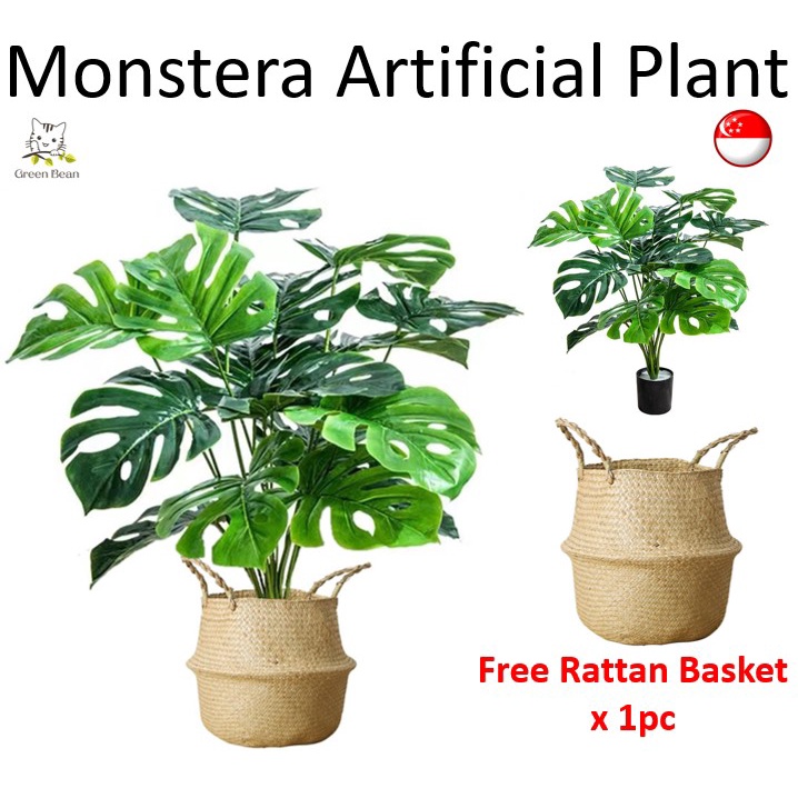 [SG STOCK] Artificial Monstera Deliciosa Plants With Basket / Fake