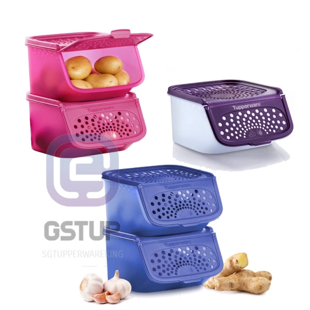 Tupperware Garlic N All Keeper 2.3L Shopee Singapore