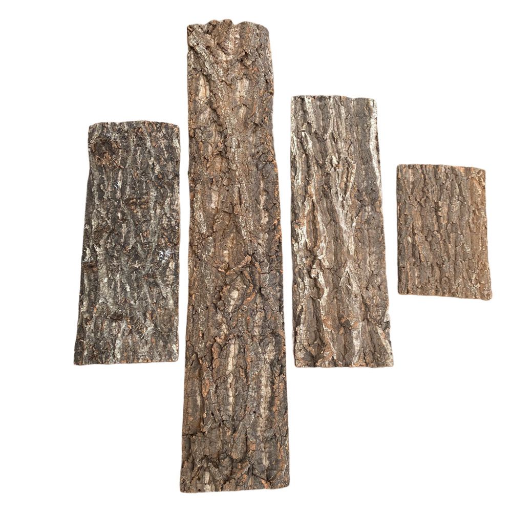 [Ready Stock] Cork Bark Shopee Singapore