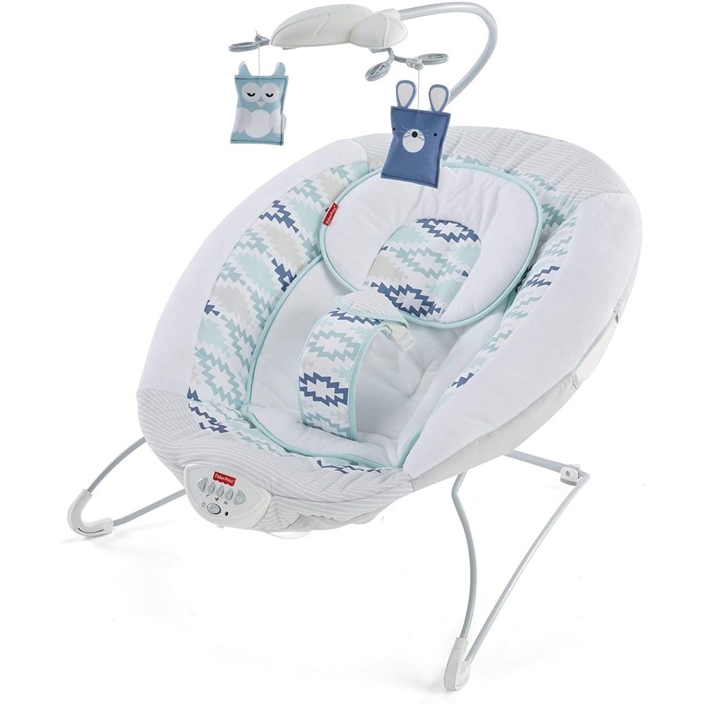 Moonlight meadow cheap deluxe bouncer