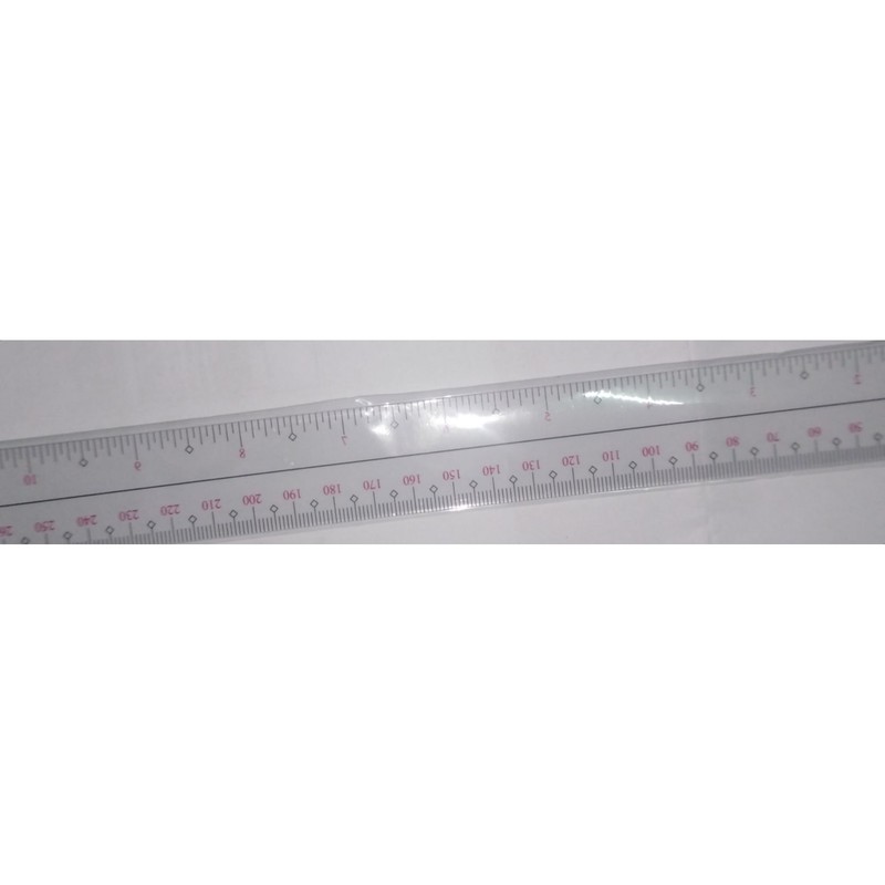 Flexible Plastic 12-inch Ruler, sold per piece | Shopee Singapore