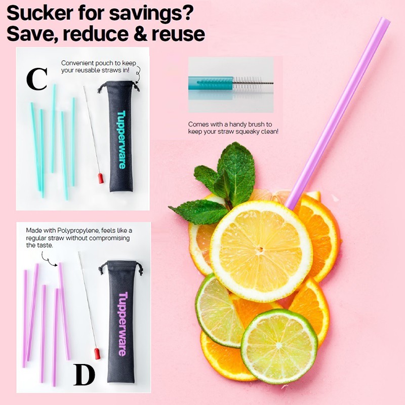 Tupperware Go Eco Straw and Brush Set | Shopee Singapore