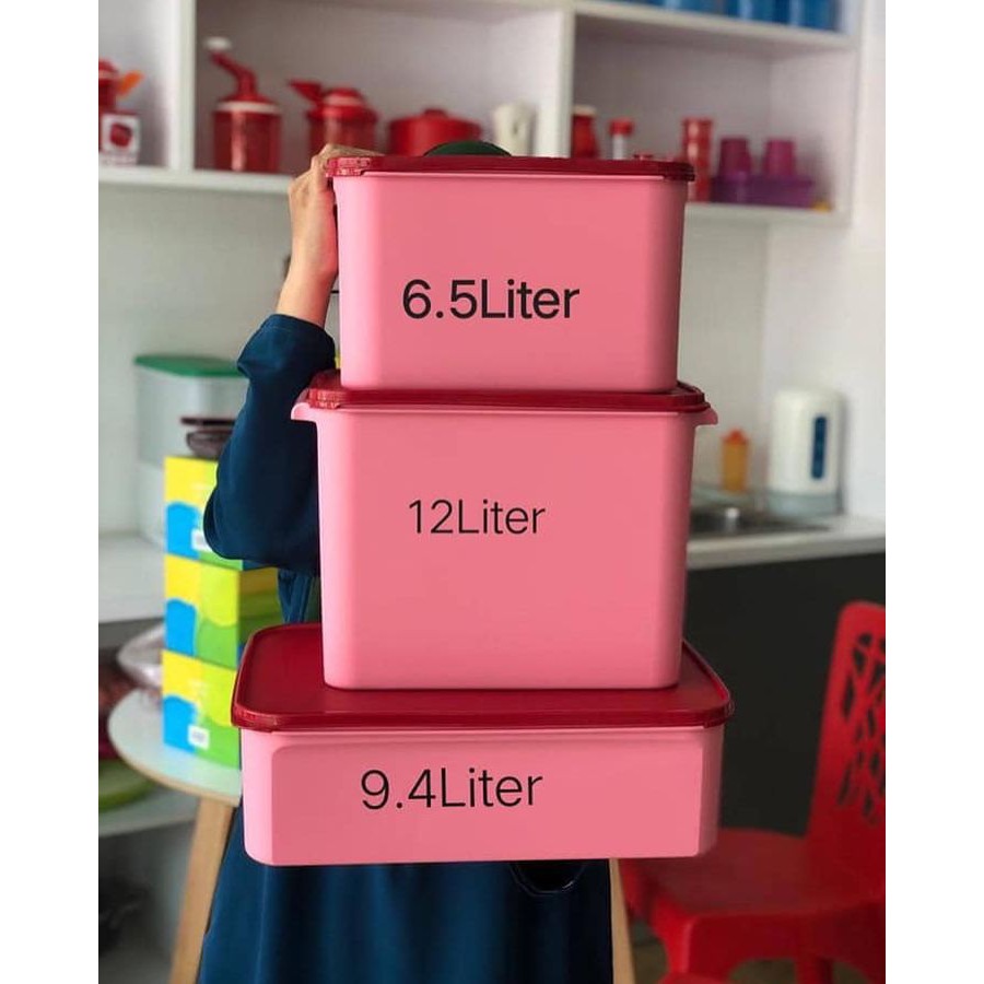 Tupperware- Rosa Rectangular Keeper Set (3) | Shopee Singapore