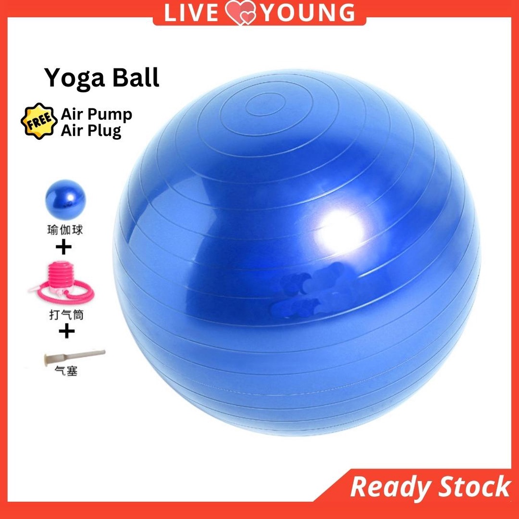 Yoga Ball PVC 65cm Bola Gym Pilates Balance Fitness Sports Fitball