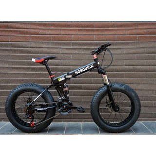 Hosquick fat online bike