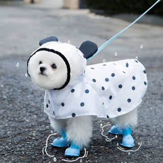 Raincoat for small on sale dogs