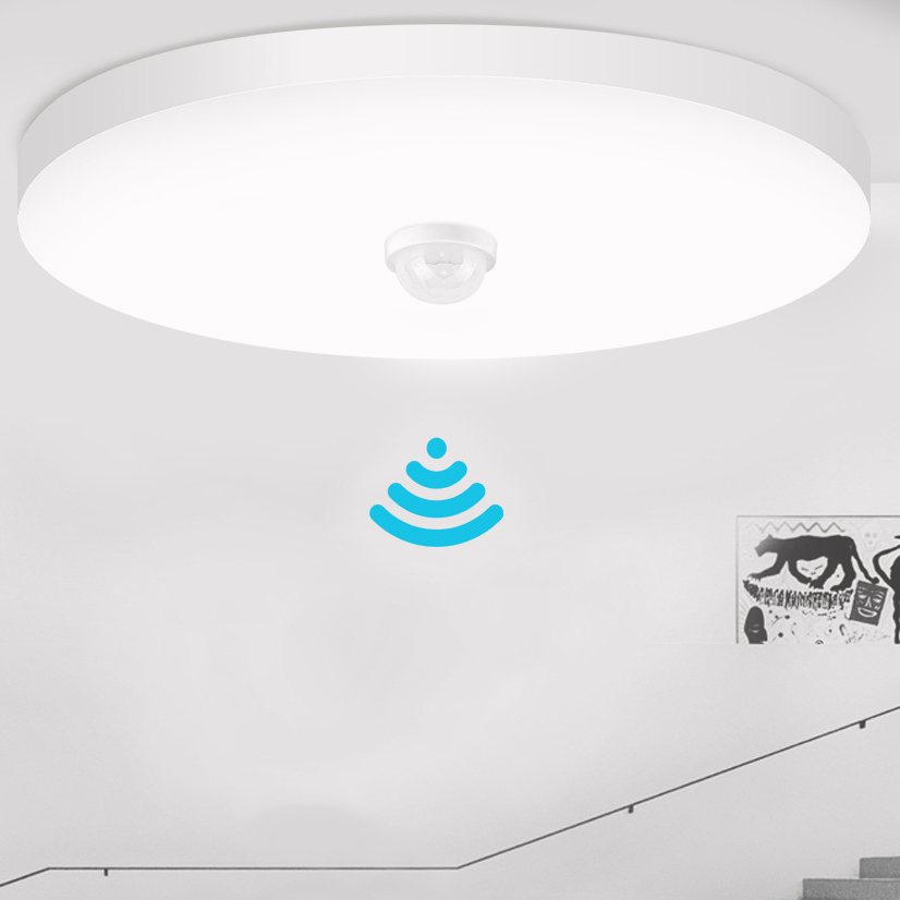 CANMEIJIA LED Lamp with Motion Sensor Ceiling Lights PIR Night Light