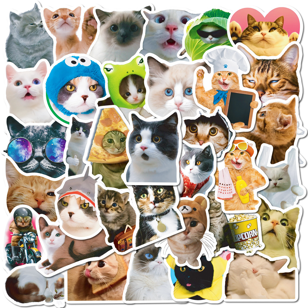50PCS Funny Cats MEME Cartoon Waterproof Stickers For Nptebook Helmet ...