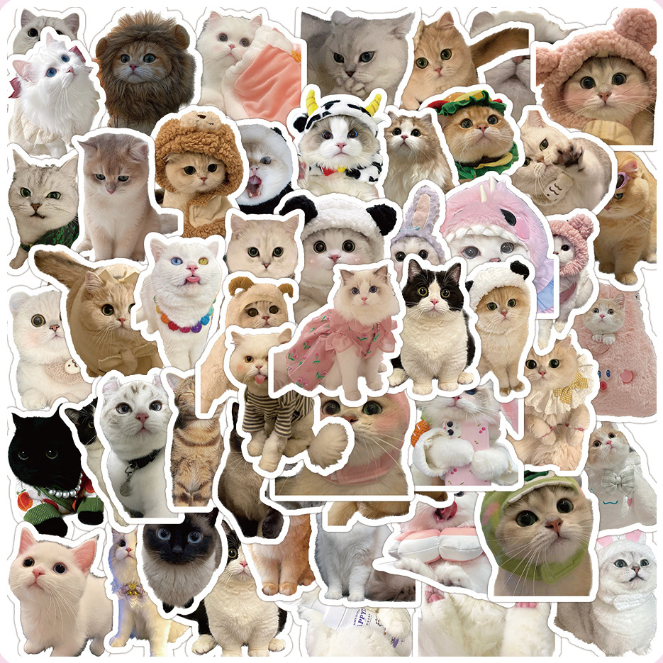 60PCS Cute Kittens Cats MEME Waterproof Stickers For Notebook Laptop ...