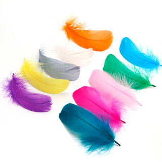 Natural Goose Feathers Small Floating Colourful Swan White Feather Plume  For Craft Wedding Jewelry Home Decoration Plumes