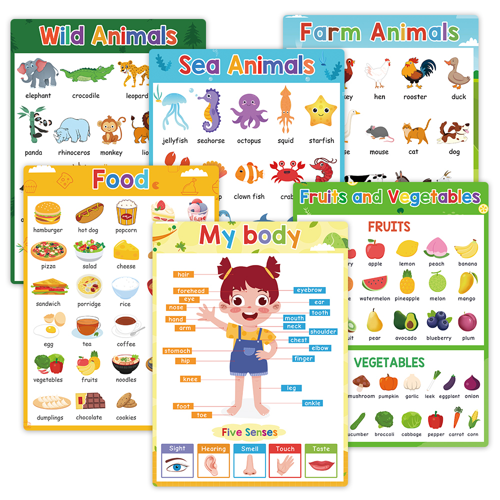 6 Pcs Fruits Food Body Parts Wild/Sea /Farm Animals English Words Classroom A4 Poster Learning Educational Posters for Kids Baby