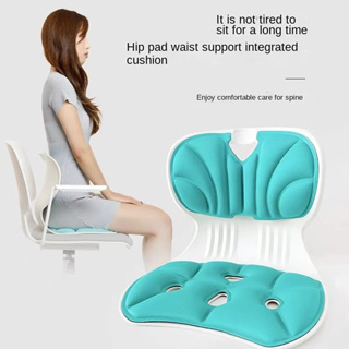 curble Chair [Adult Cover Set] Ergonomic Back Support Chair and Detachable  Cover, Lumbar Support for Back Posture Corrector and Low Back Pain Relief