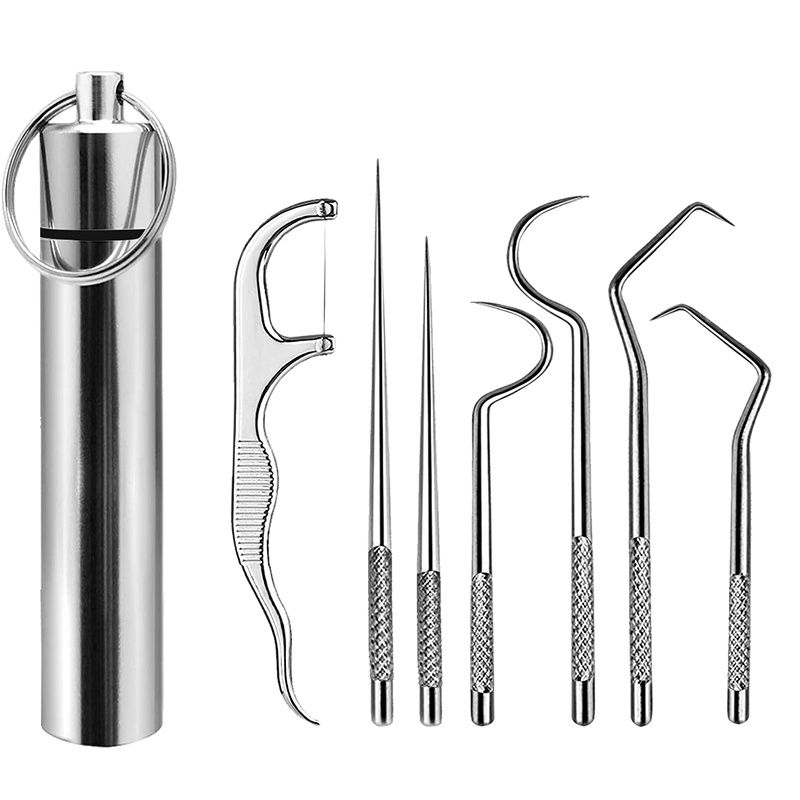 Set Stuzzicadenti In Acciaio Inox Riutilizzabili: 6 Pezzi Con Custodia E Filo Interdentale