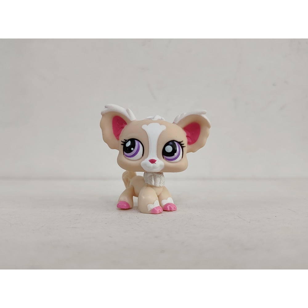 Lps chihuahua 1 best sale