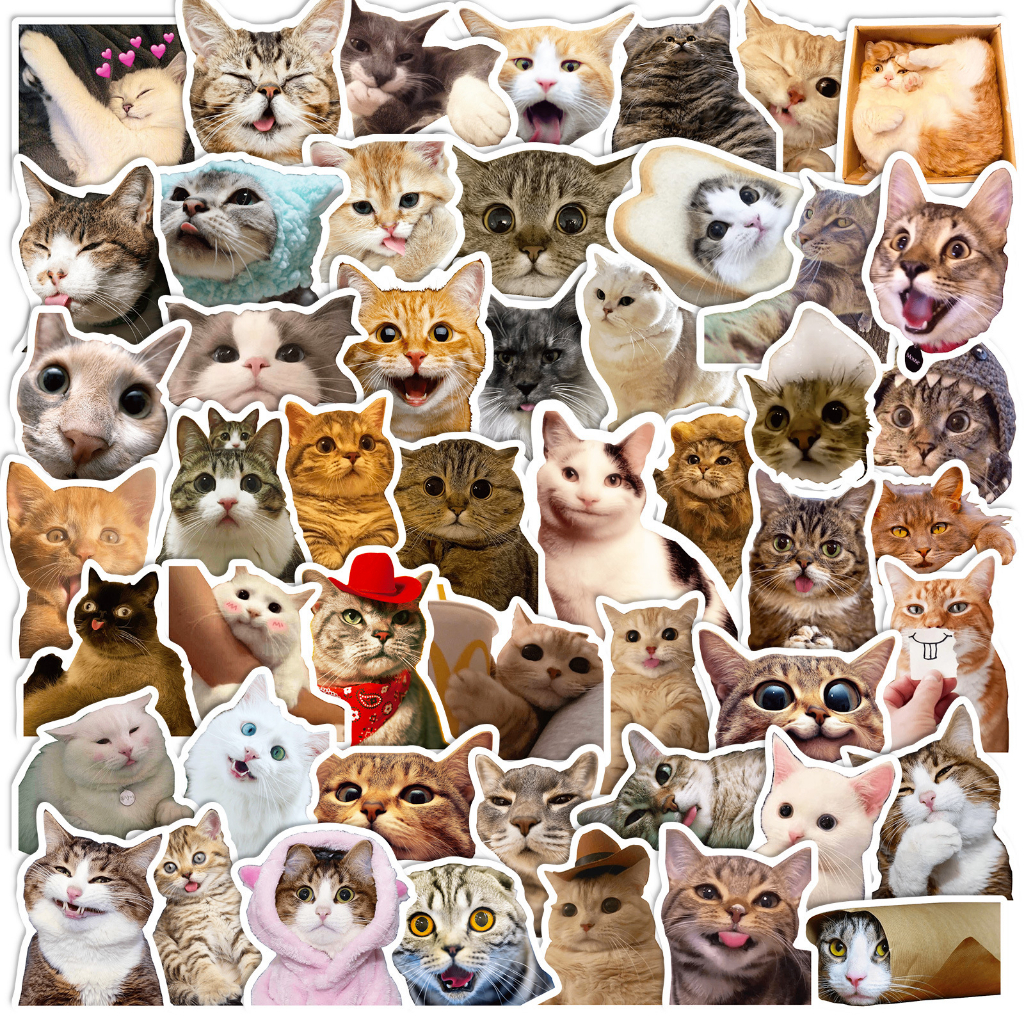 100/50PCS Cute Funny Realistic Cats MEME Stickers For Luggage Phone ...