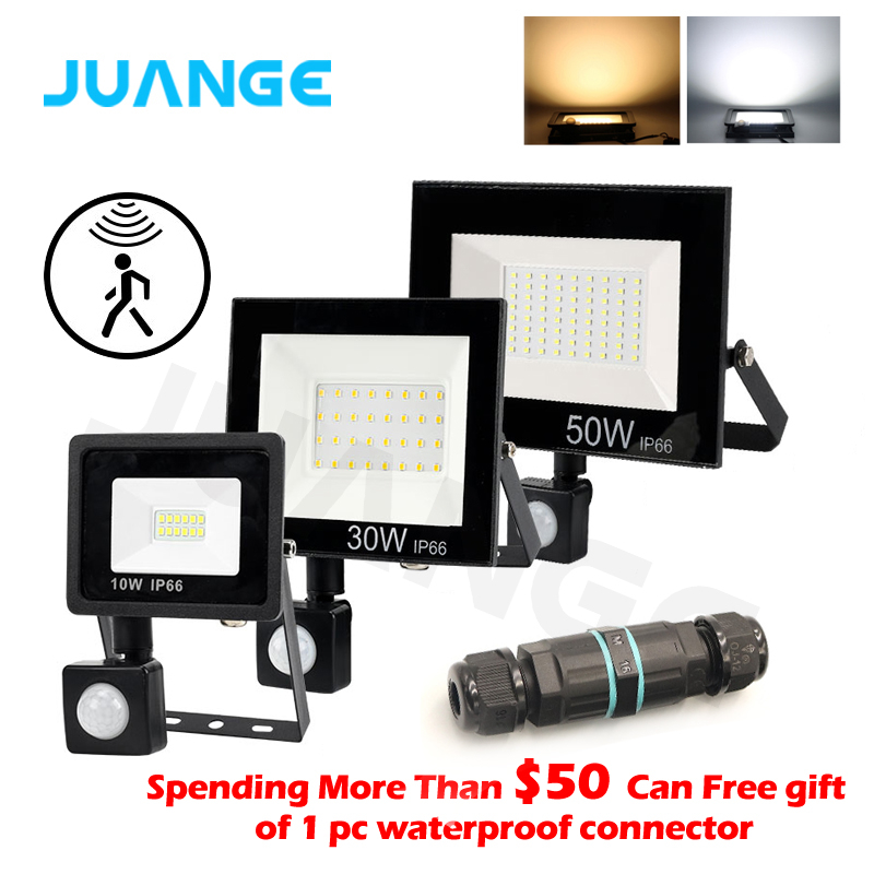 10W 20W 30W 50W 100W Induction Led flood light With Adjustable PIR