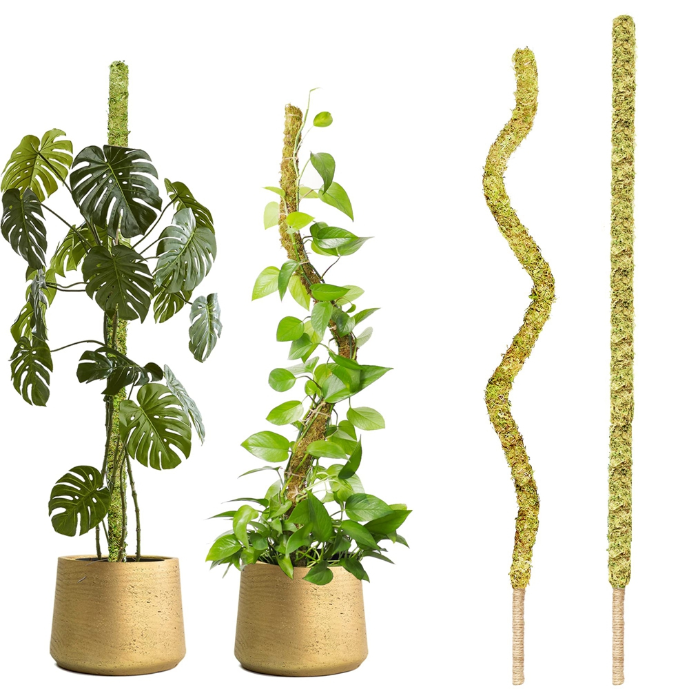 1pc Bendable Real Moss Pole Monstera Plant Climbing Green Plants 