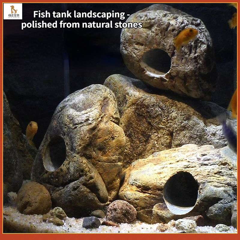 Fish Tank Landscaping Fish Tank Native Landscaping Stone Natural Real ...