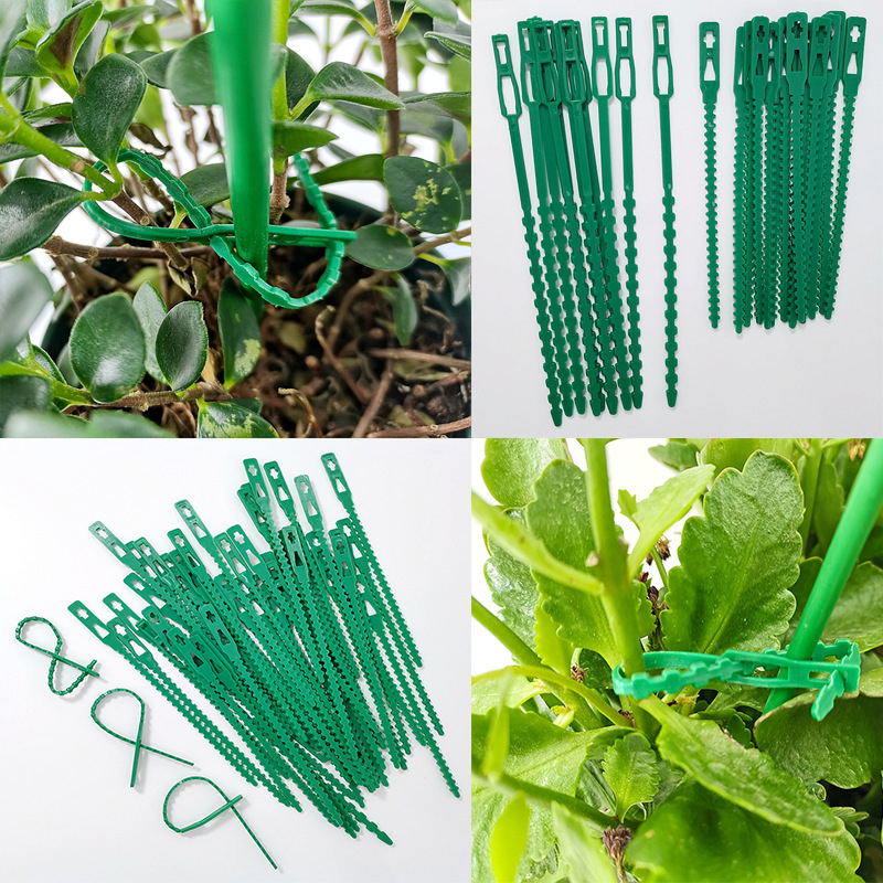 10/20PCS Green Fishbone Bandage Potted Plant Growth Fixed Tie Gardening ...